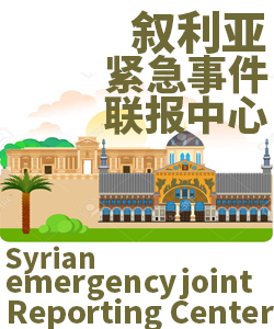 叙利亚Syria001