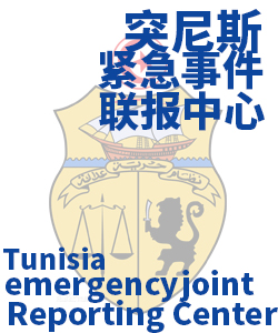 突尼斯Tunisia006